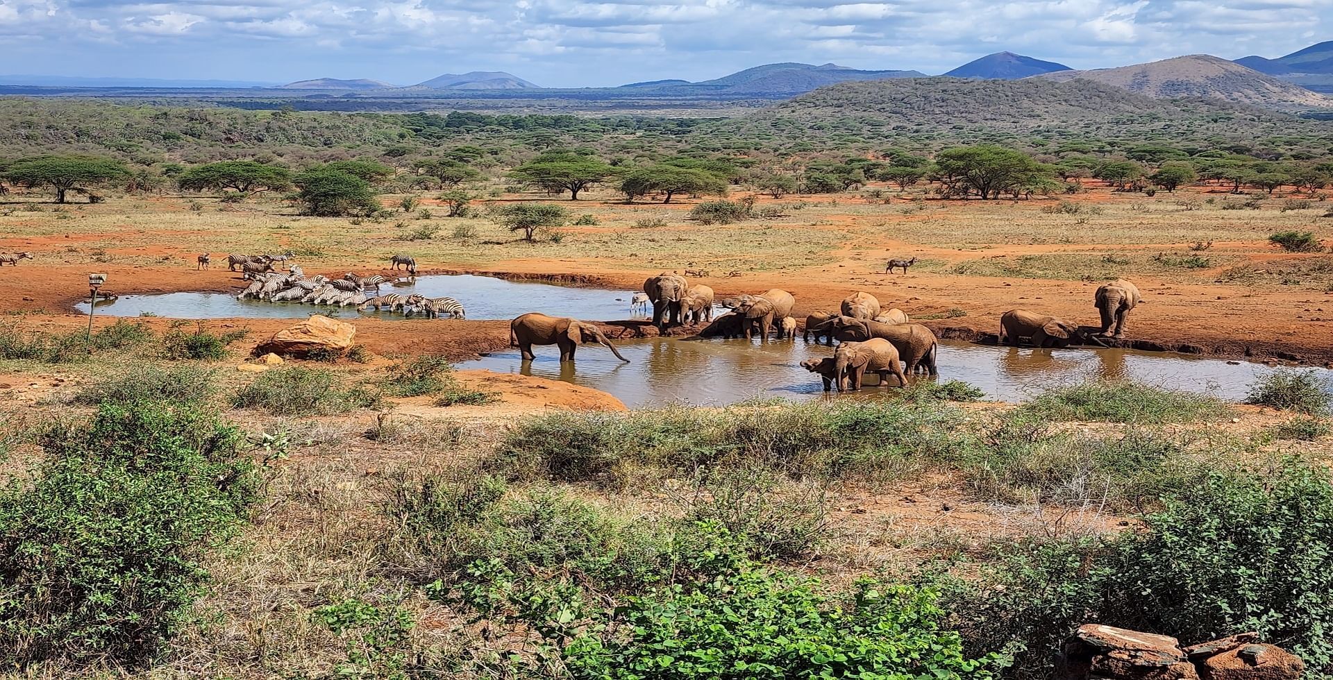 Tsavo