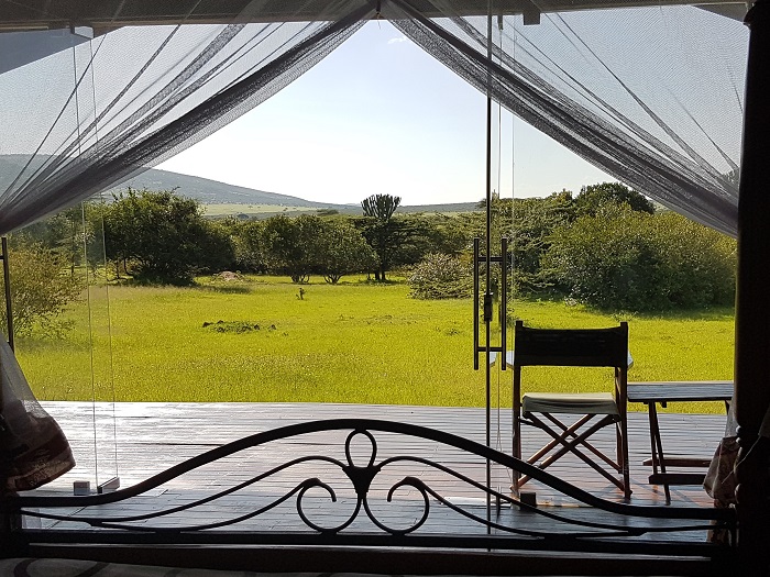 Simba Oryx Nature Camp