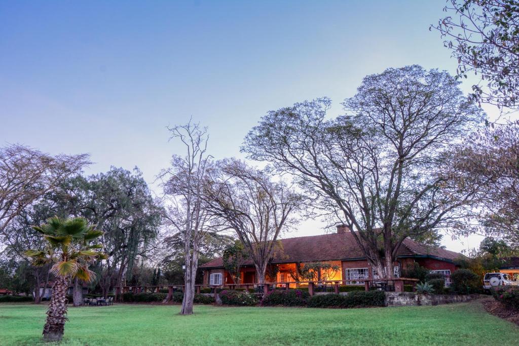 Jacaranda lake Elementaita Lodge