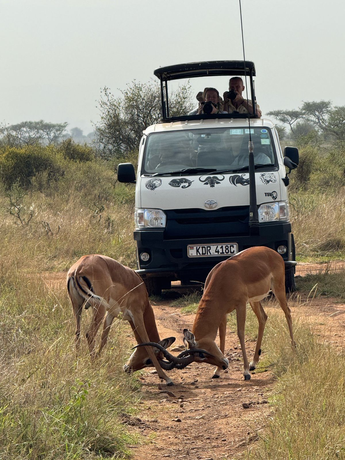 1 Day Lolldaiga Hills Conservancy