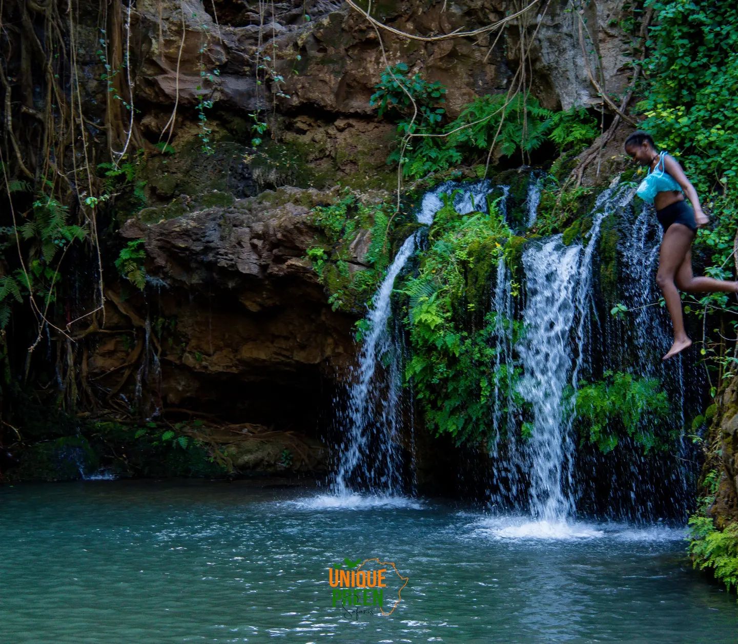 1 Day Ngare Ndare  Forest Tour