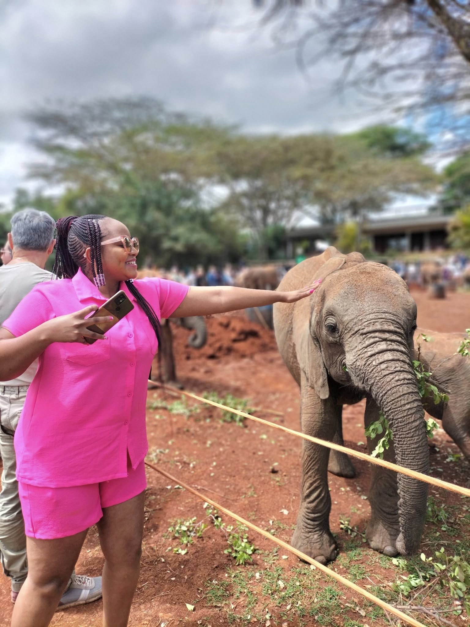 David Sheldrick Wildlife trust
