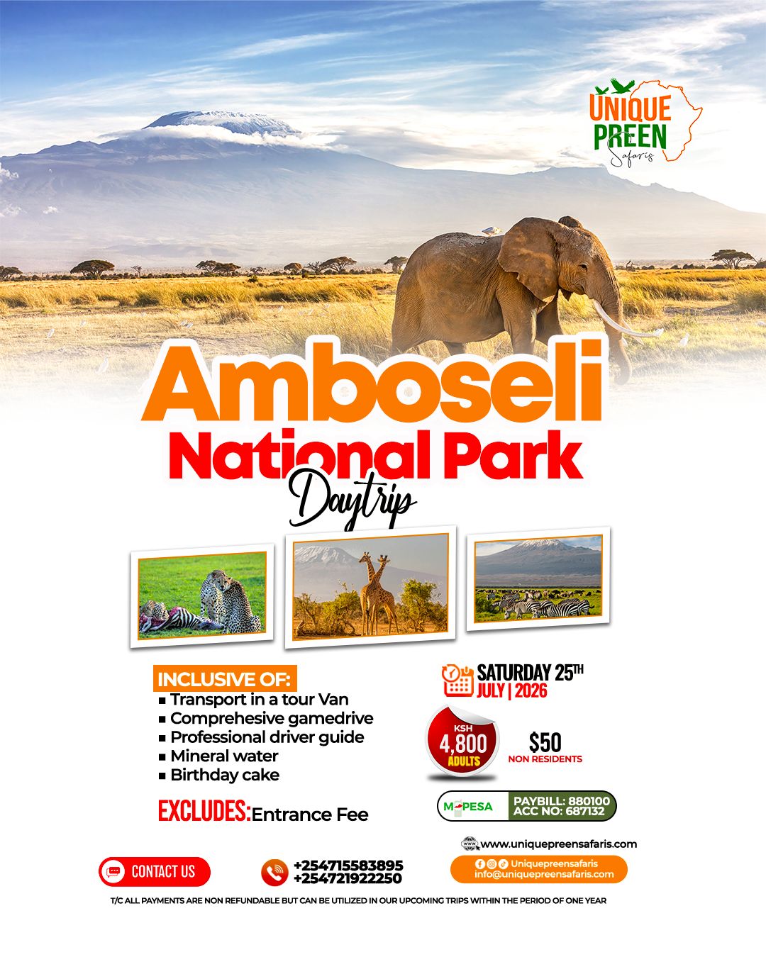 Amboseli National Park Day Trip