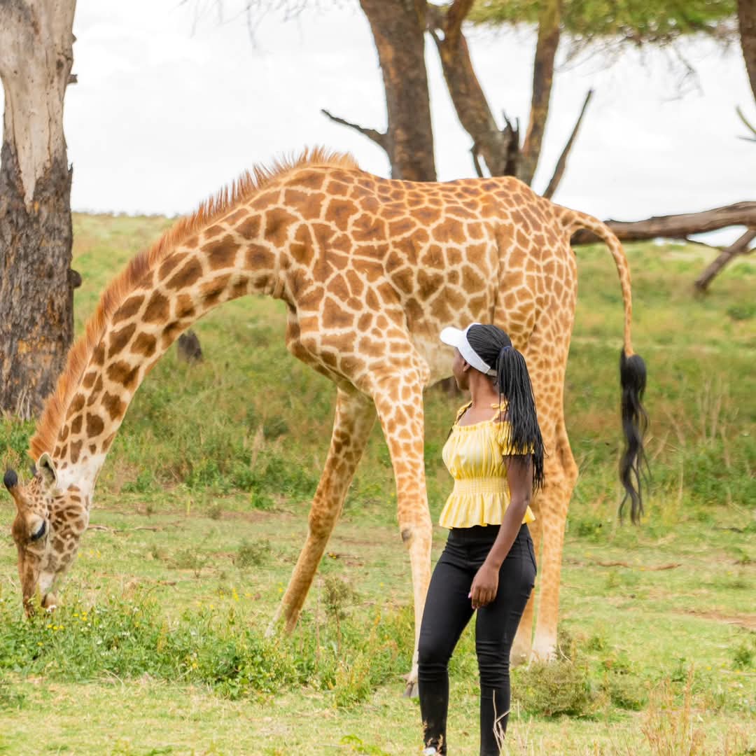1-Day Hellsgate, Olkaria Geothermal Spa & Crescent Island