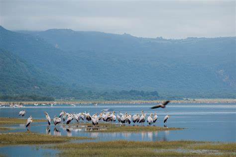 2 Days Lake Manyara / Ngorongoro Crater Safari