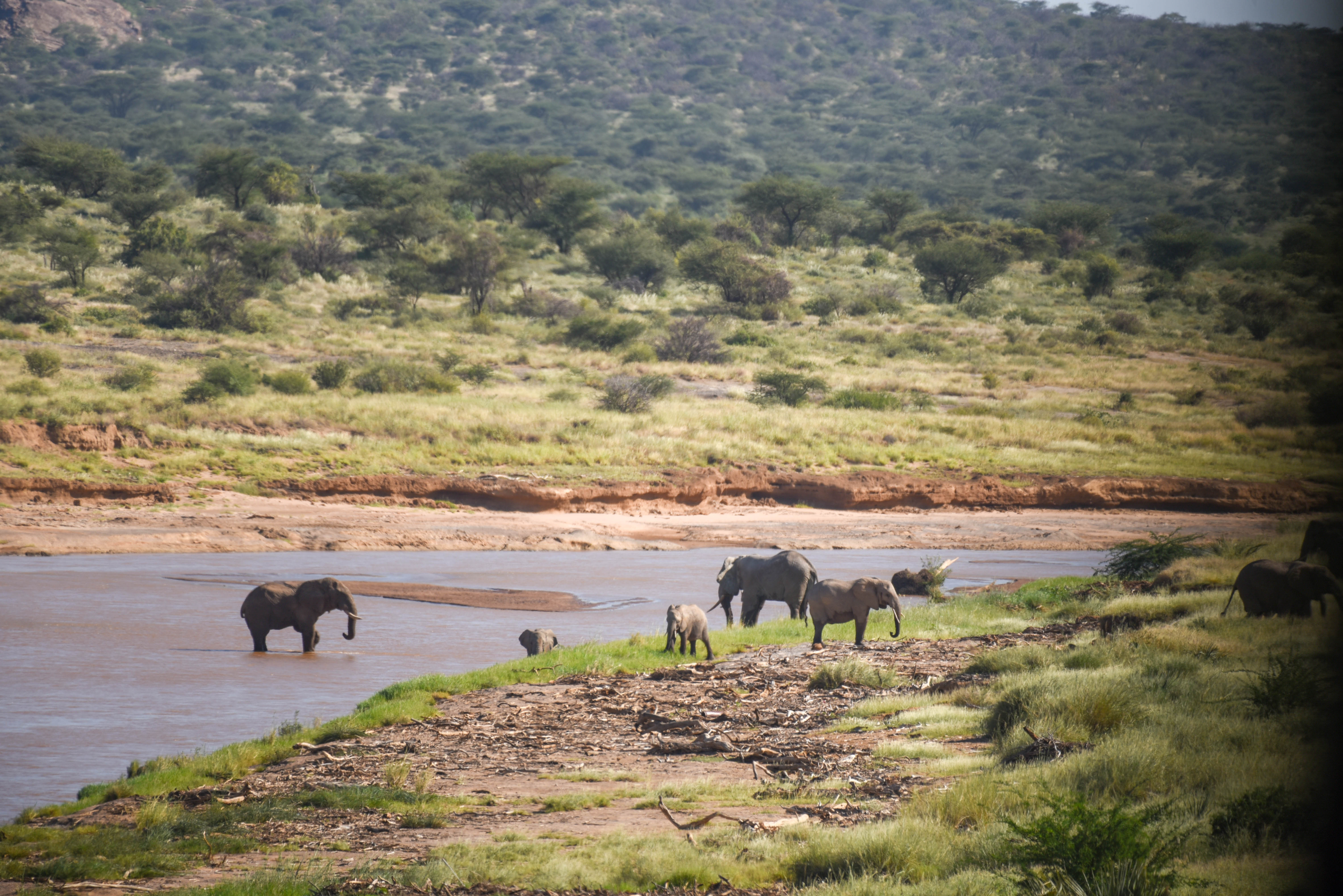 9 Days Masai mara – Lake Nakuru – Samburu – Olpejeta  – Amboseli