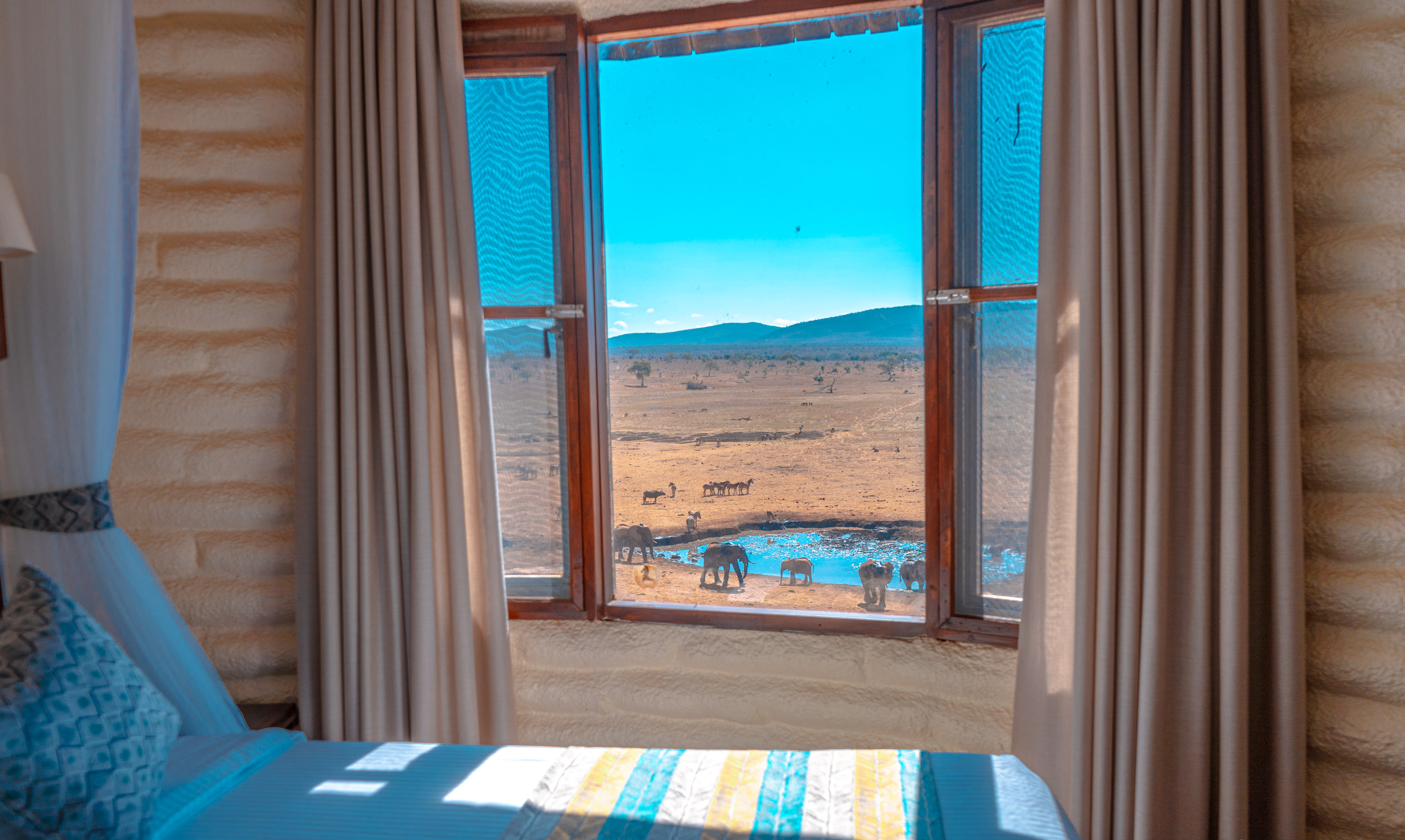 Salt Lick Safari Lodge image 3