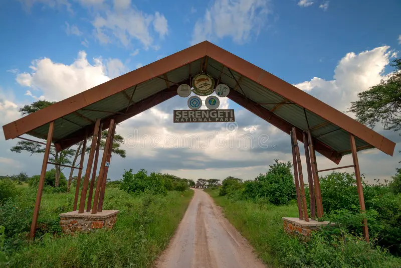 3 Days Serengeti National Park joining Safari