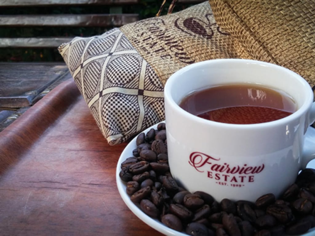 Fairview Coffee Tour