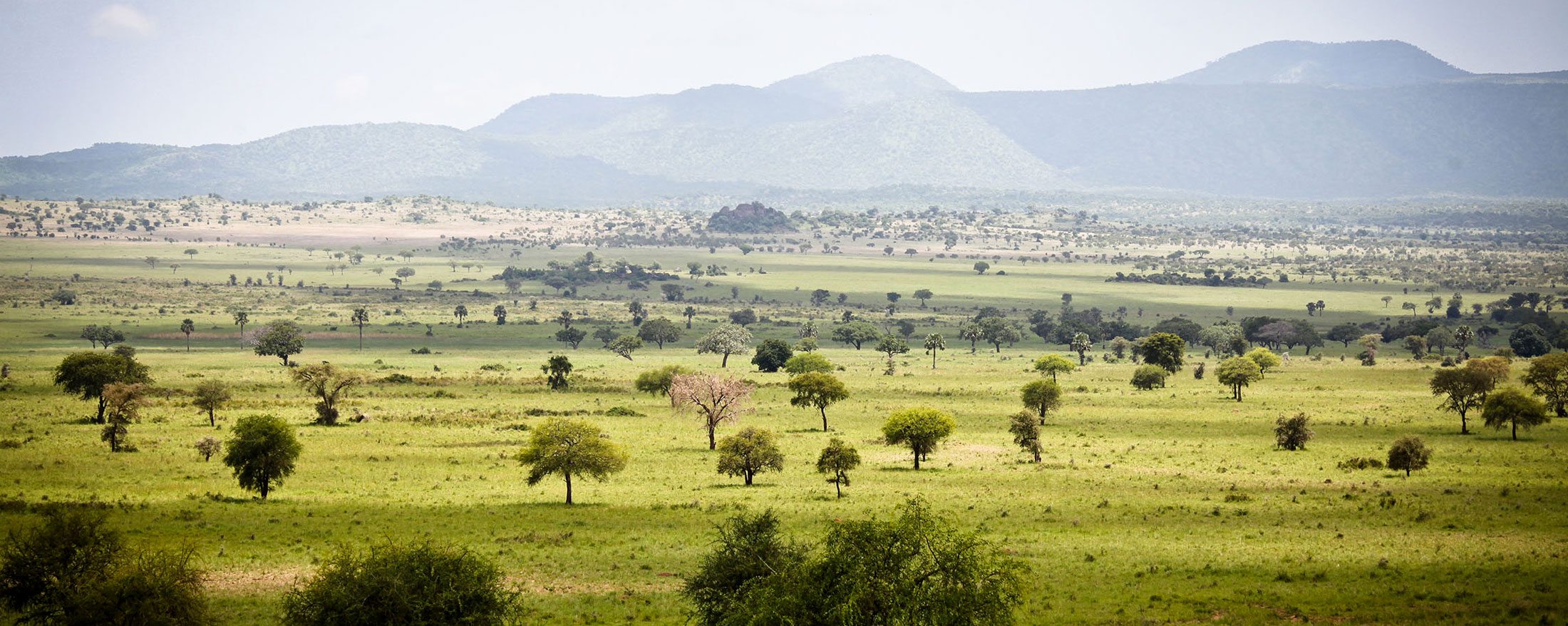 5 Day Kidepo Valley Experience