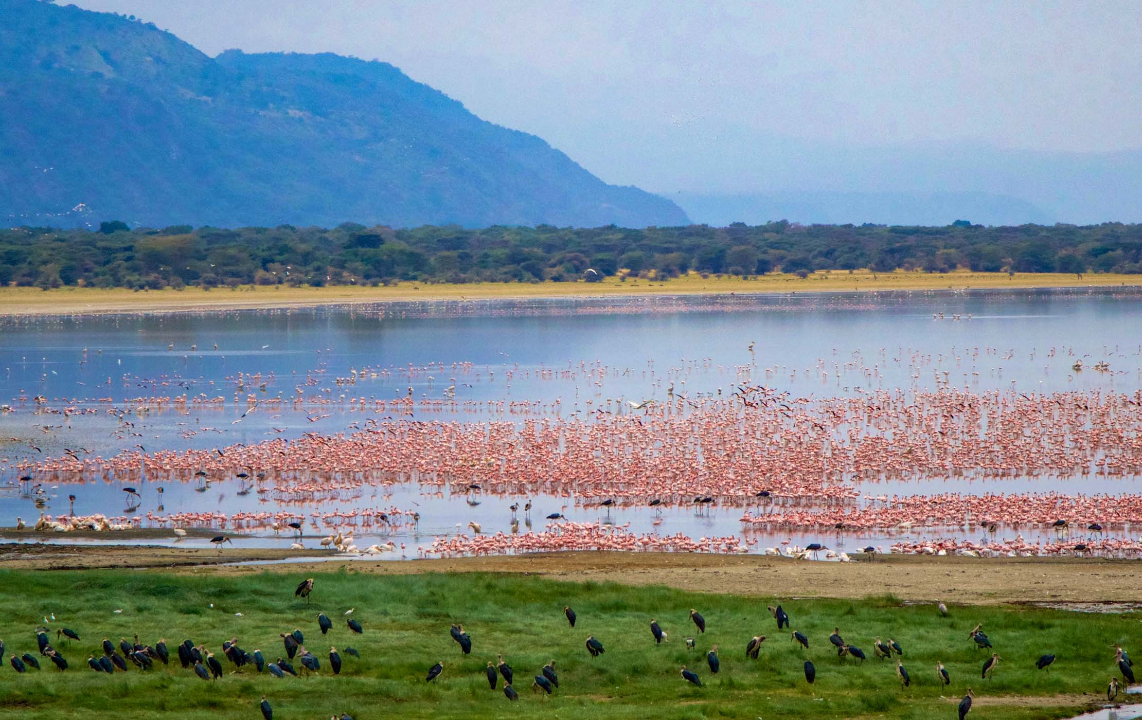 3 Days Ngorongoro Tarangire and Manyara