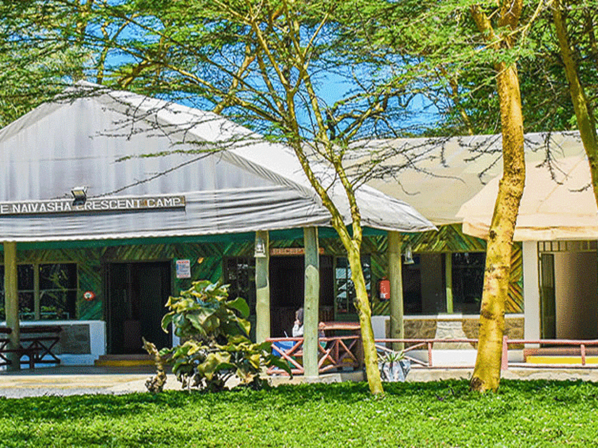 Crescent Island Camp image 2