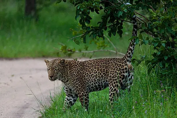 3 Days Mikumi NationaL Park