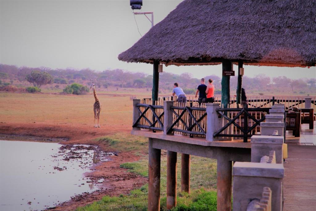 Voi Wildlife Lodge image 4