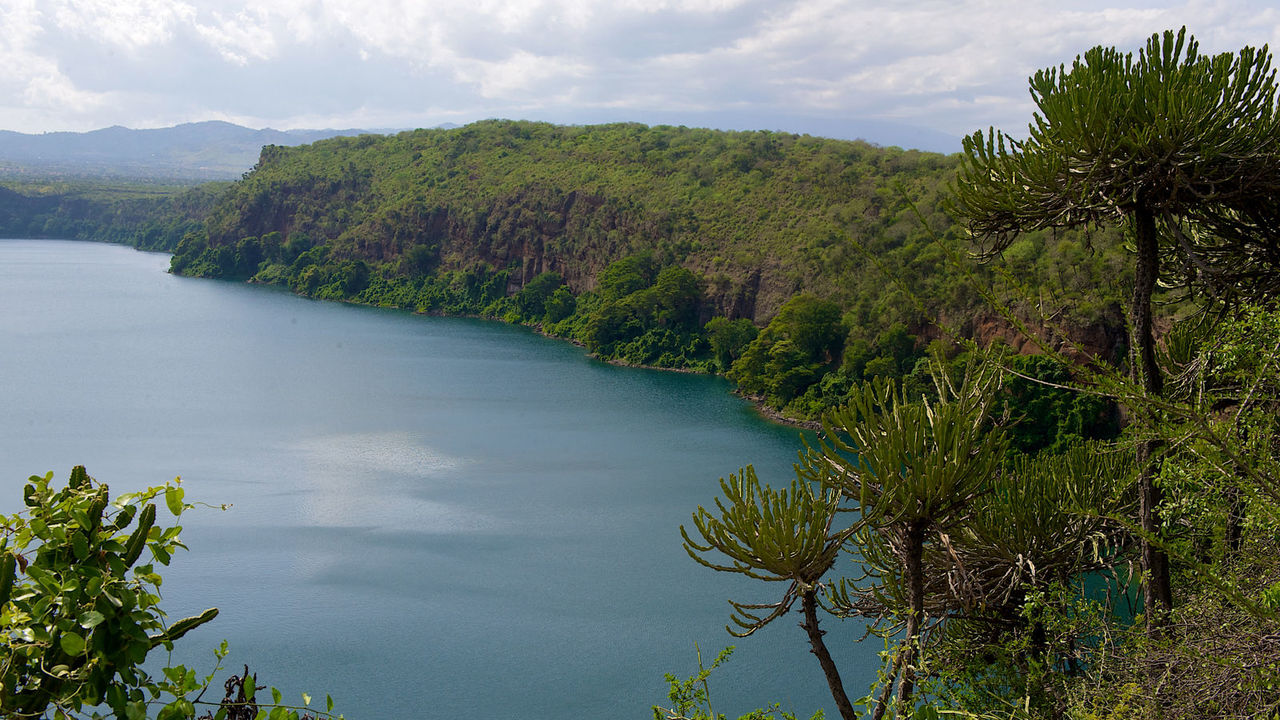 Voyager Ziwani image 3