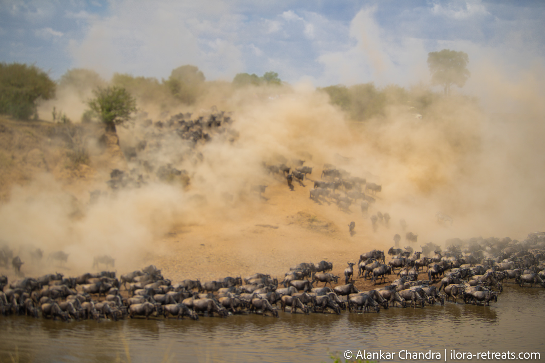 4 Days Masai Mara and Lake Nakuru Safari-Kenya Safari, 4 Days Safari-Budget Camping Safari